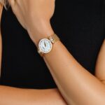 Luxury Watch.